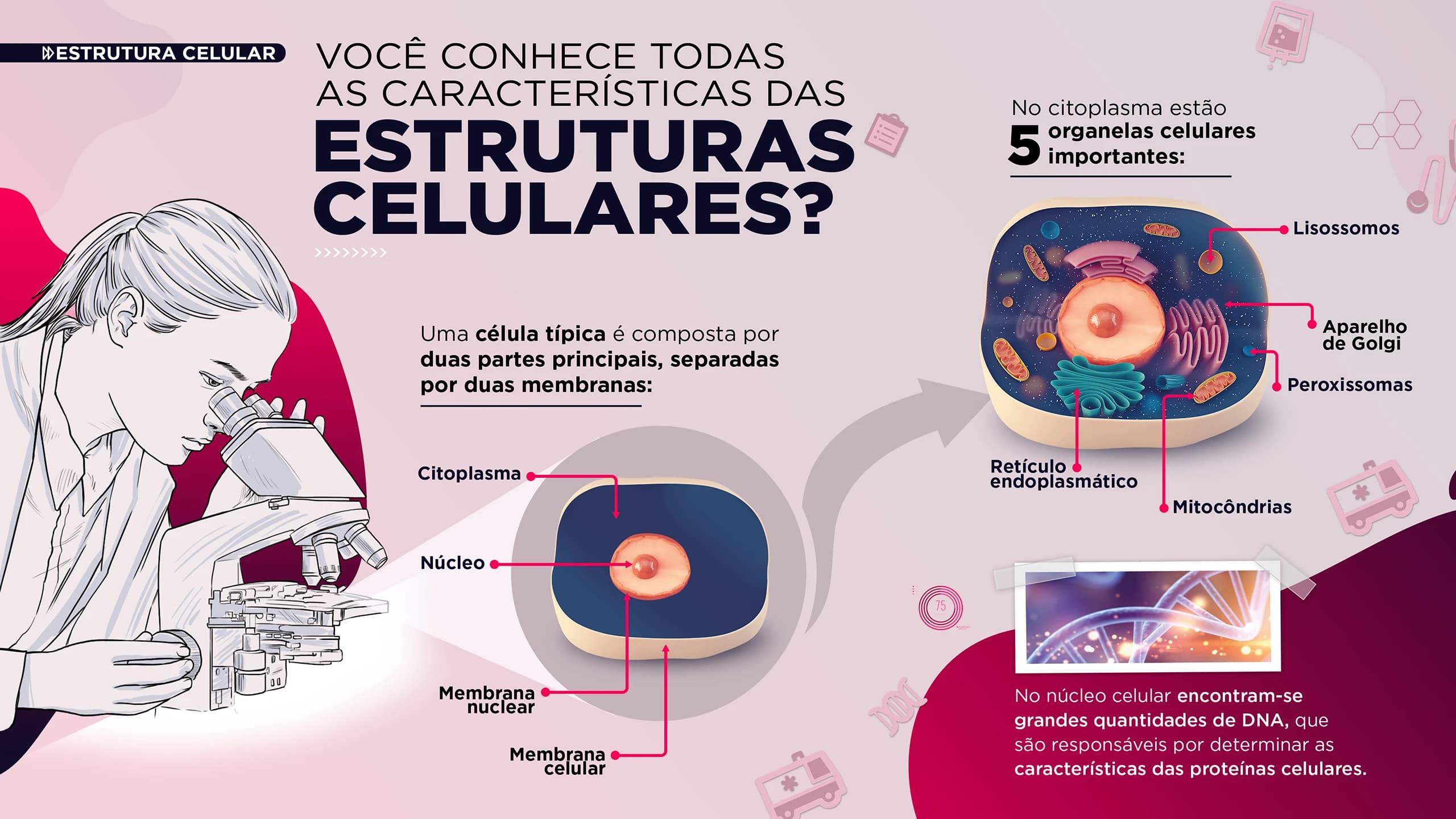 Peça 1 do projeto Mapas conceituais